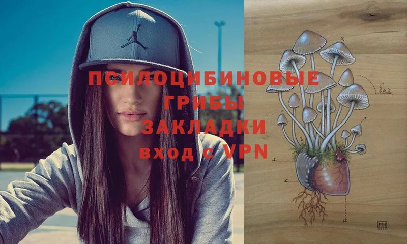 OMG ссылки  как найти закладки  мориарти телеграм  Псилоцибиновые грибы Psilocybe  Новоуральск 